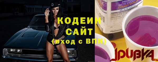 прущие крисы Вяземский