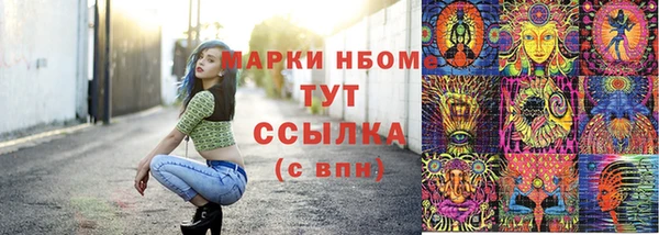 прущие крисы Вяземский