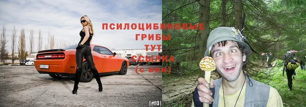 дурь Медвежьегорск