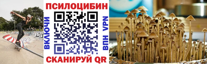 Купить закладки  Гатчина  Псилоцибиновые грибы Psilocybe 