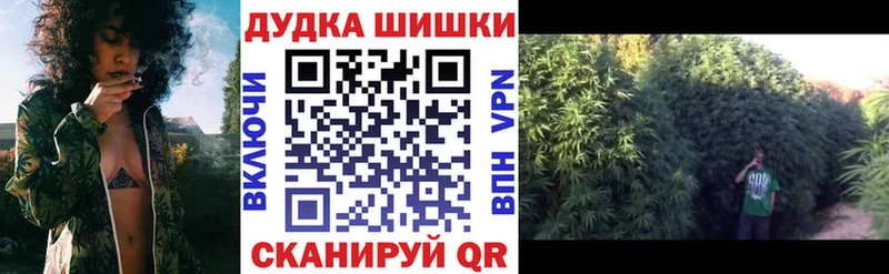 Купить где  Гатчина  Конопля MAZAR 